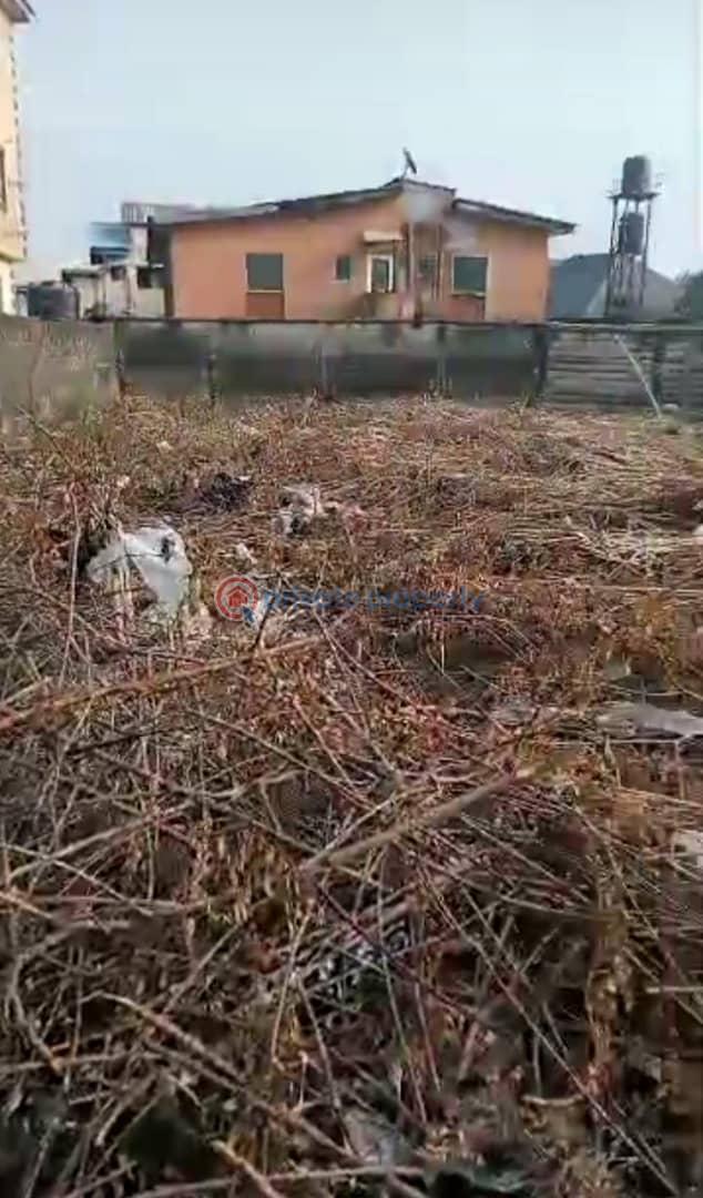 Land For Sale Peter Imemessi Street Satellite Town, Ojo Lagos - 0