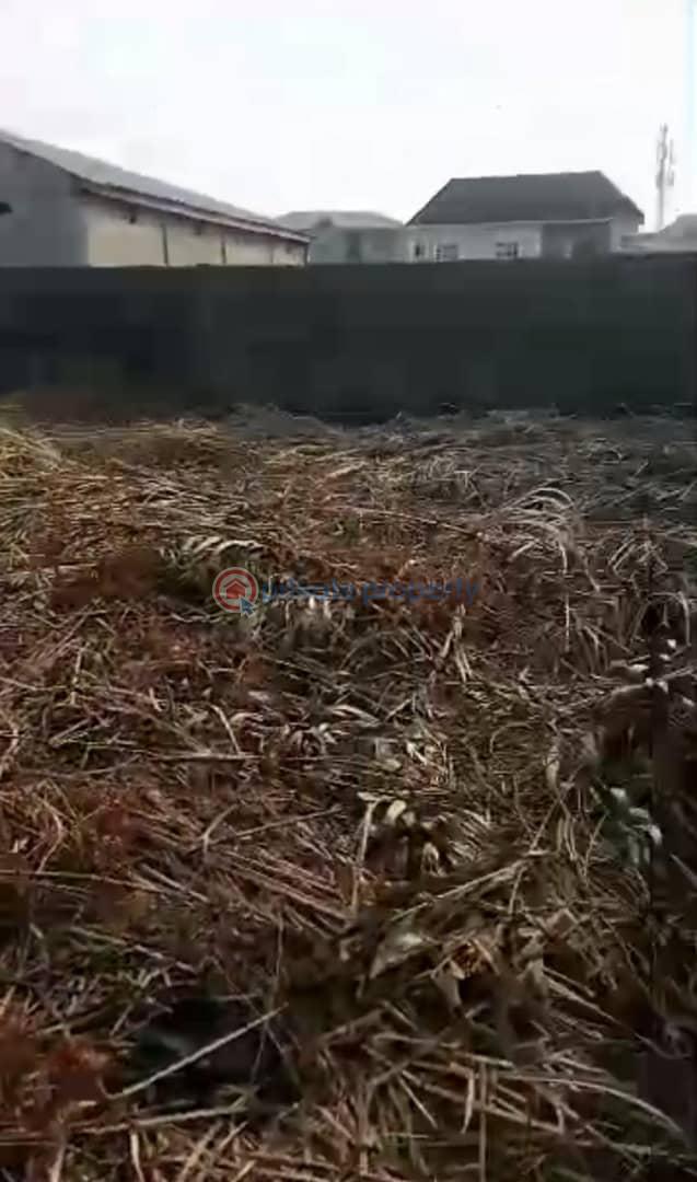 Land For Sale Peter Imemessi Street Satellite Town, Ojo Lagos - 2