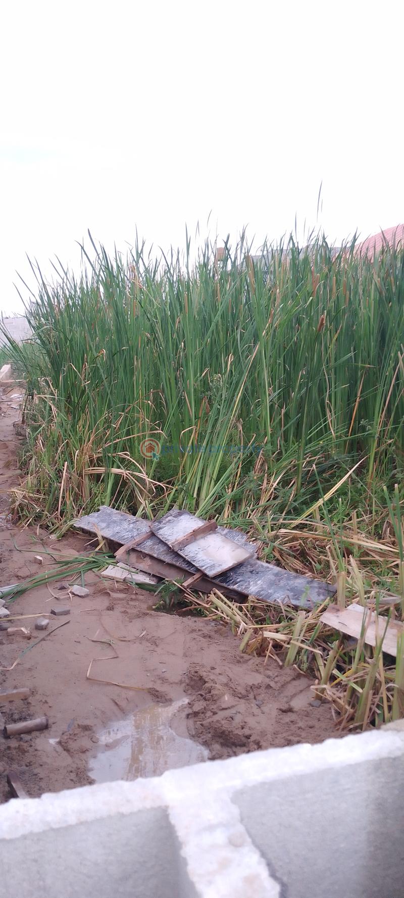 Mixed use Land For Sale Greenville Estate, Off Badore Road Badore Ajah Lagos - 1