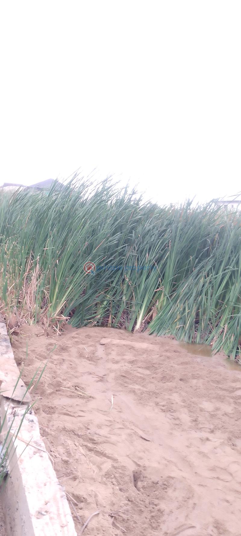 Mixed use Land For Sale Greenville Estate, Off Badore Road Badore Ajah Lagos - 2