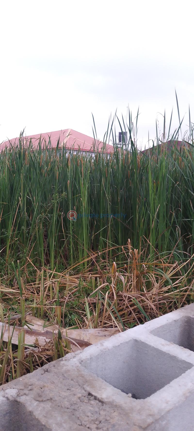 Mixed use Land For Sale Greenville Estate, Off Badore Road Badore Ajah Lagos - 4