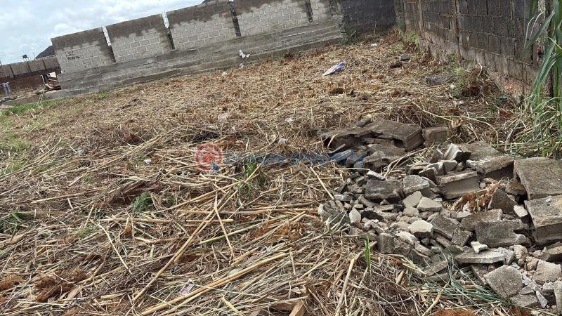 Residential Land For Sale Silver Point Estate Badore Ajah Lagos - 0