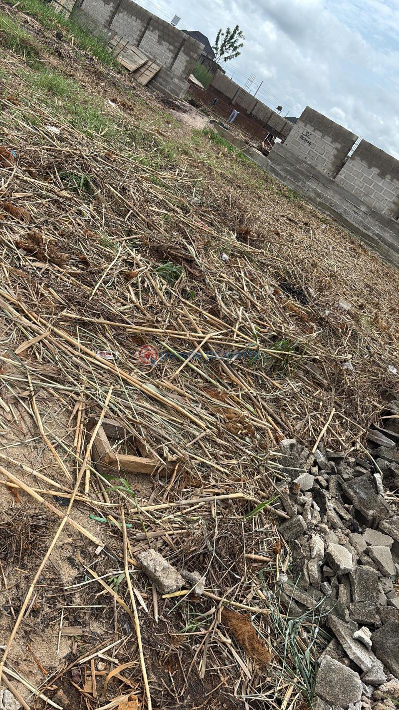 Residential Land For Sale Silver Point Estate Badore Ajah Lagos - 1