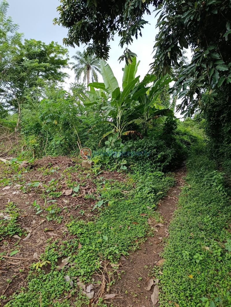 Industrial Land For Sale Estate. Moniya Ibadan Oyo - 2