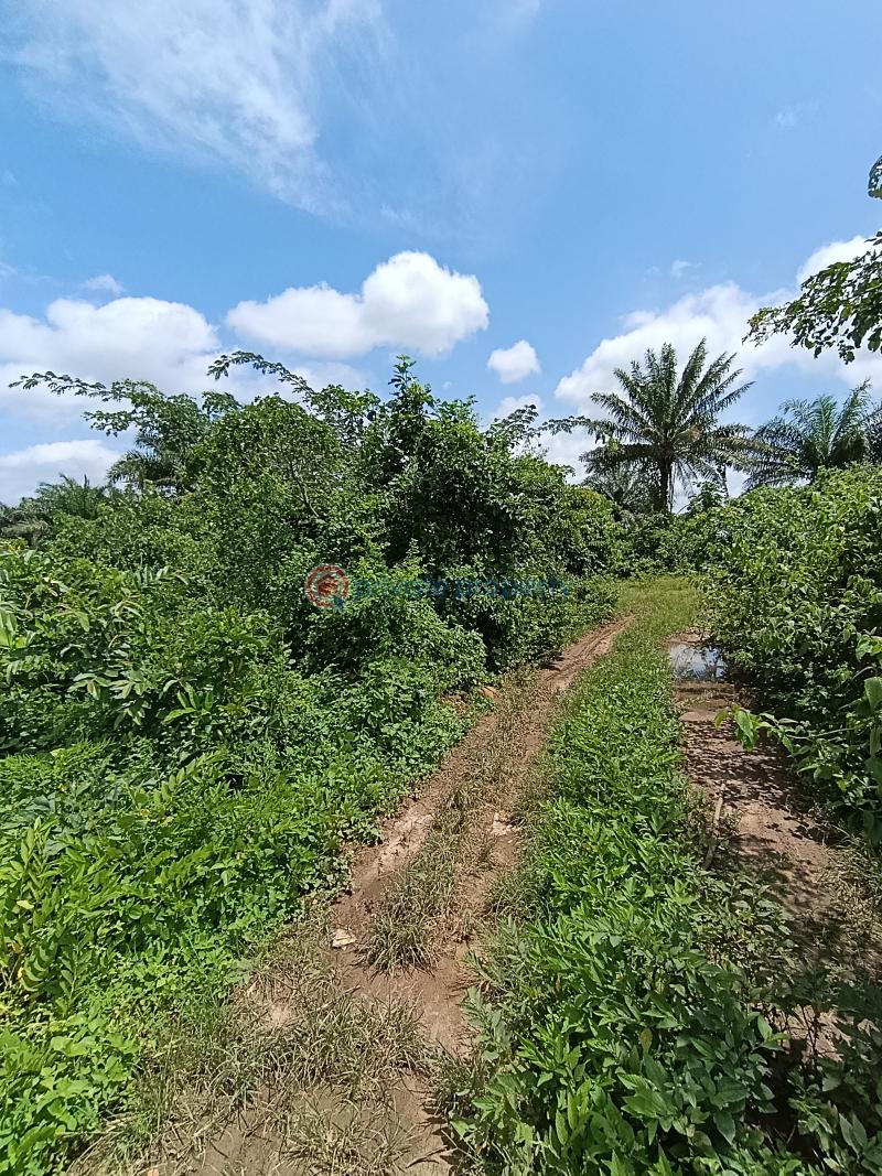 Residential Land For Sale Moniya Ibadan Oyo - 3