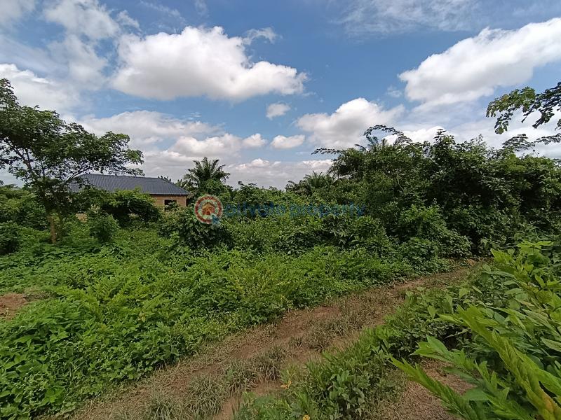 Residential Land For Sale Moniya Ibadan Oyo - 1