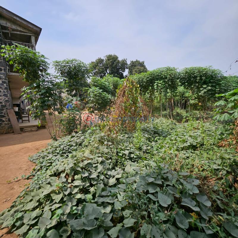 A large parcel of land available - 1 Mixed use Land For Sale Apapa Road Lagos - 1