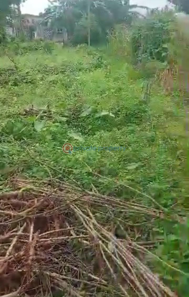 Mixed use Land For Sale Alagbado Abule Egba Lagos - 1
