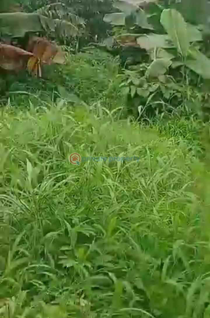 Mixed use Land For Sale Alagbado Abule Egba Lagos - 4