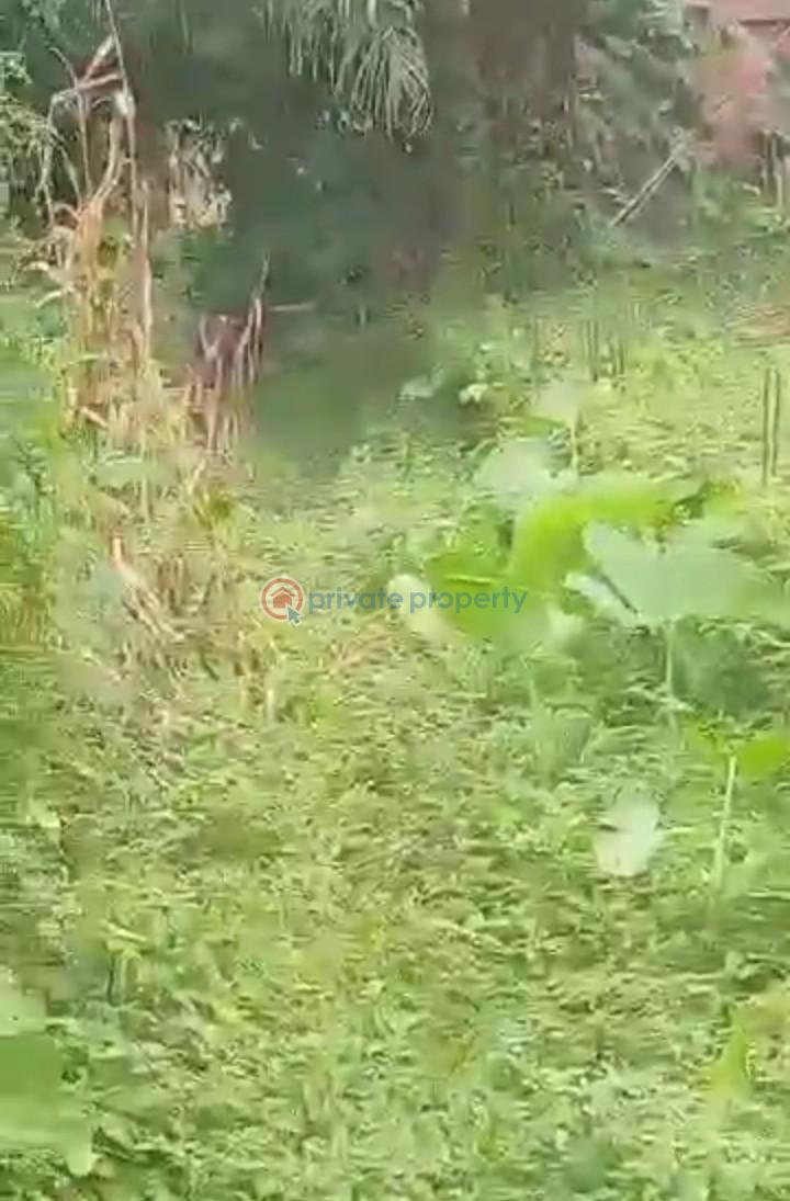 Mixed use Land For Sale Alagbado Abule Egba Lagos - 7