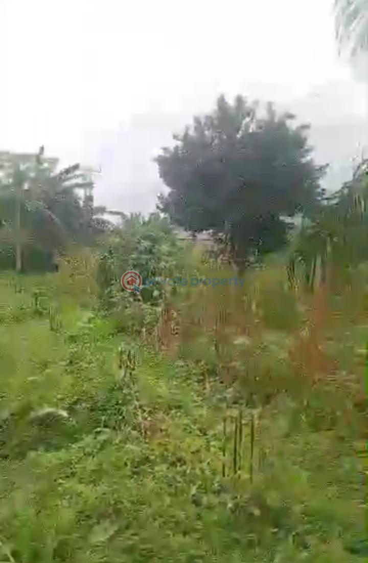 Mixed use Land For Sale Alagbado Abule Egba Lagos - 3