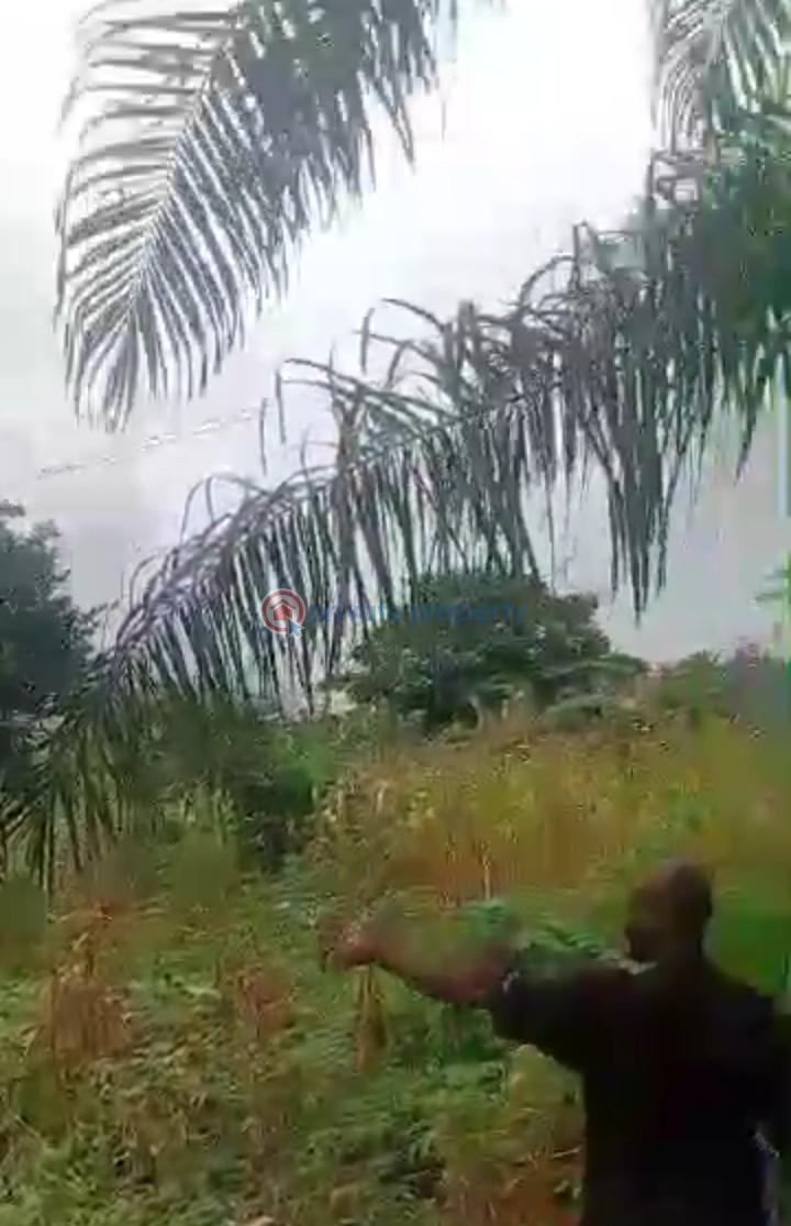 Mixed use Land For Sale Alagbado Abule Egba Lagos - 5
