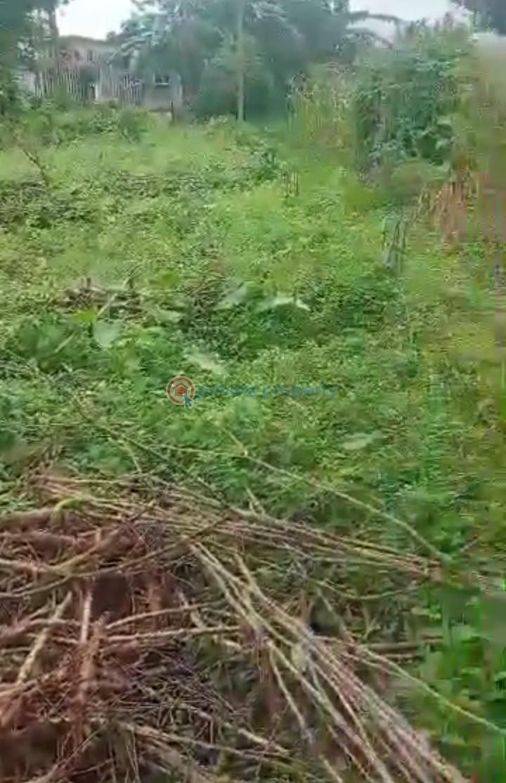 Mixed use Land For Sale Alagbado Abule Egba Lagos - 6