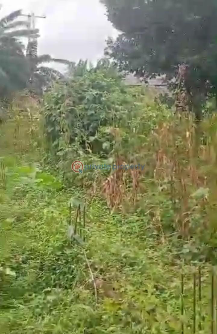 Mixed use Land For Sale Alagbado Abule Egba Lagos - 2