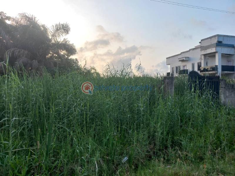 Mixed use Land For Sale Oke Ira Addo Ajah Lagos - 2