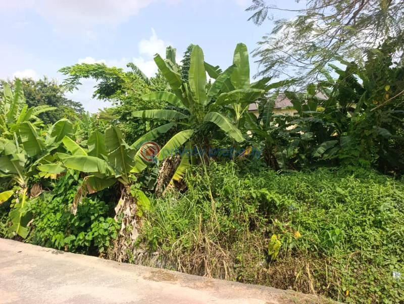 Land For Sale At Federal Housing Estate, Ikolaba Gra Ibadan Oyo
