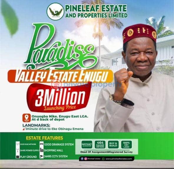 Mixed use Land For Sale Onuogba Nike At The Back Of The Depo Nkanu East Enugu - 0
