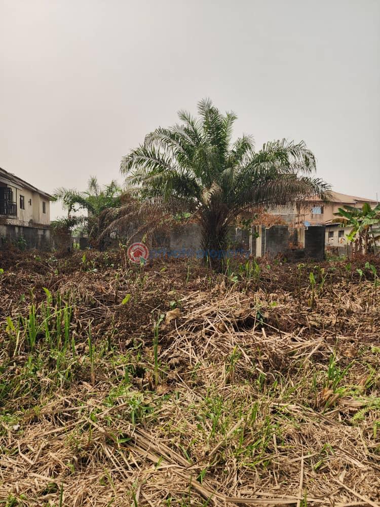 Residential Land For Sale Royal Palm Estate Badore Ajah Lagos - 0