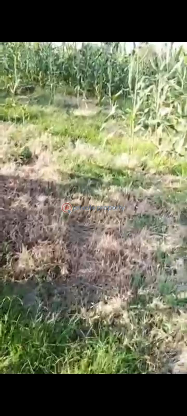 A plot of land for residential or high yielding investment - 2 Residential Land For Sale Oturu Community, After New Osogbo Air Force Base, Uniosun Area, Oke Baale. Osogbo Osun - 2