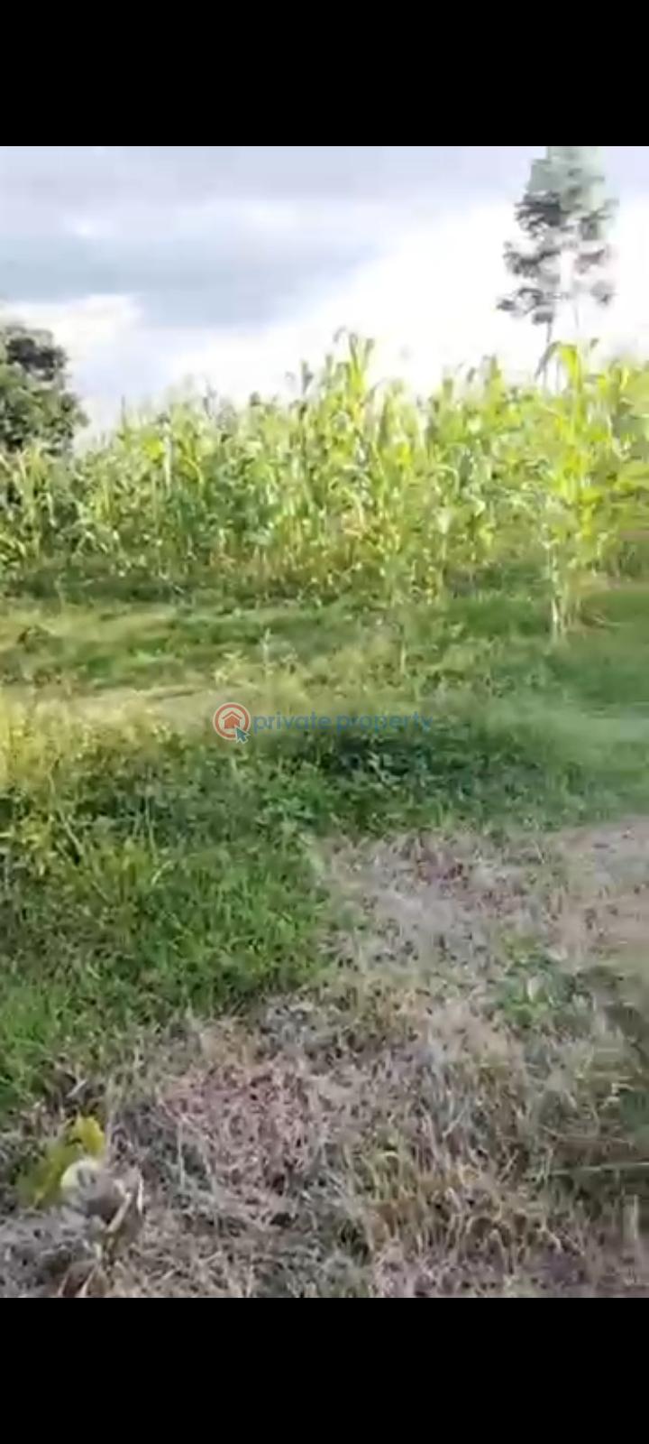 A plot of land for residential or high yielding investment - 1 Residential Land For Sale Oturu Community, After New Osogbo Air Force Base, Uniosun Area, Oke Baale. Osogbo Osun - 1