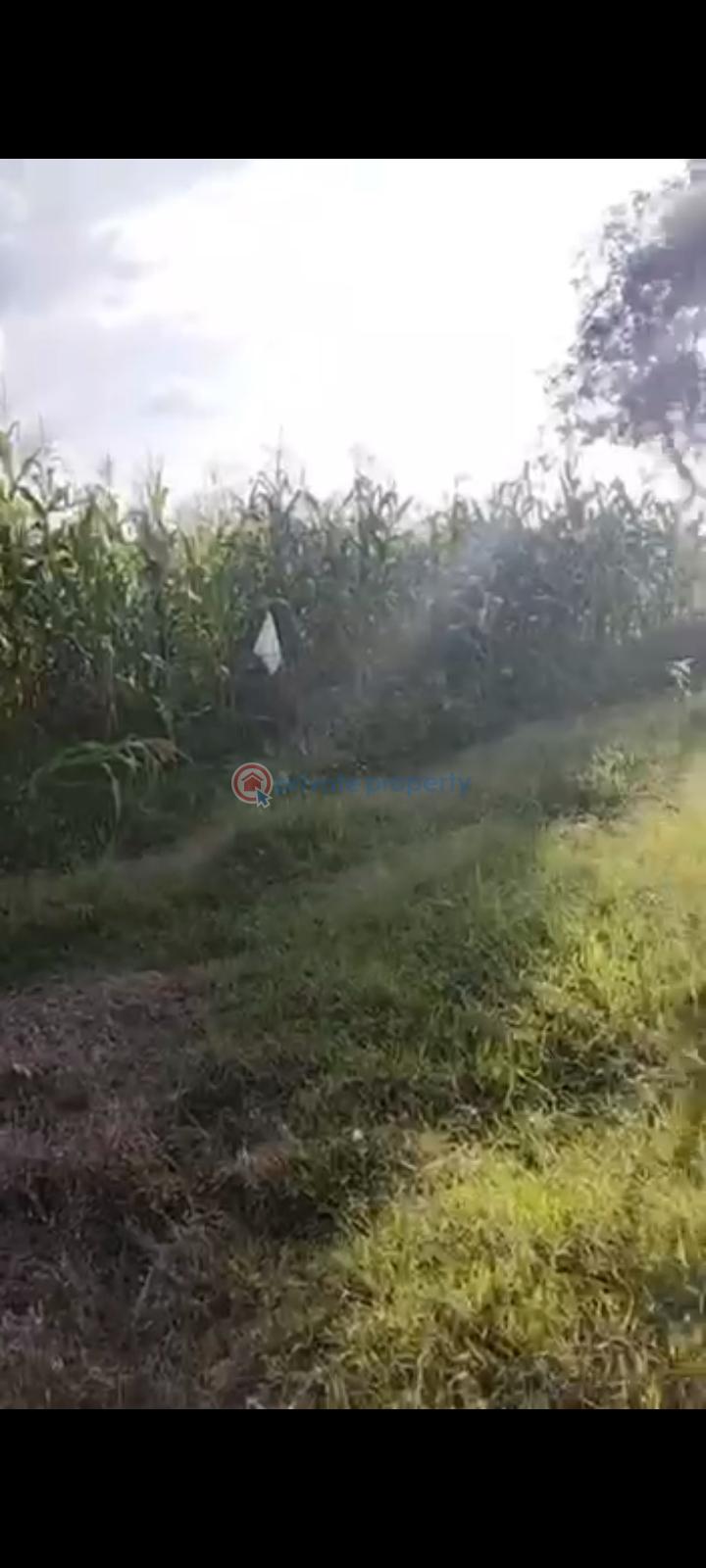 A plot of land for residential or high yielding investment - 0 Residential Land For Sale Oturu Community, After New Osogbo Air Force Base, Uniosun Area, Oke Baale. Osogbo Osun - 0