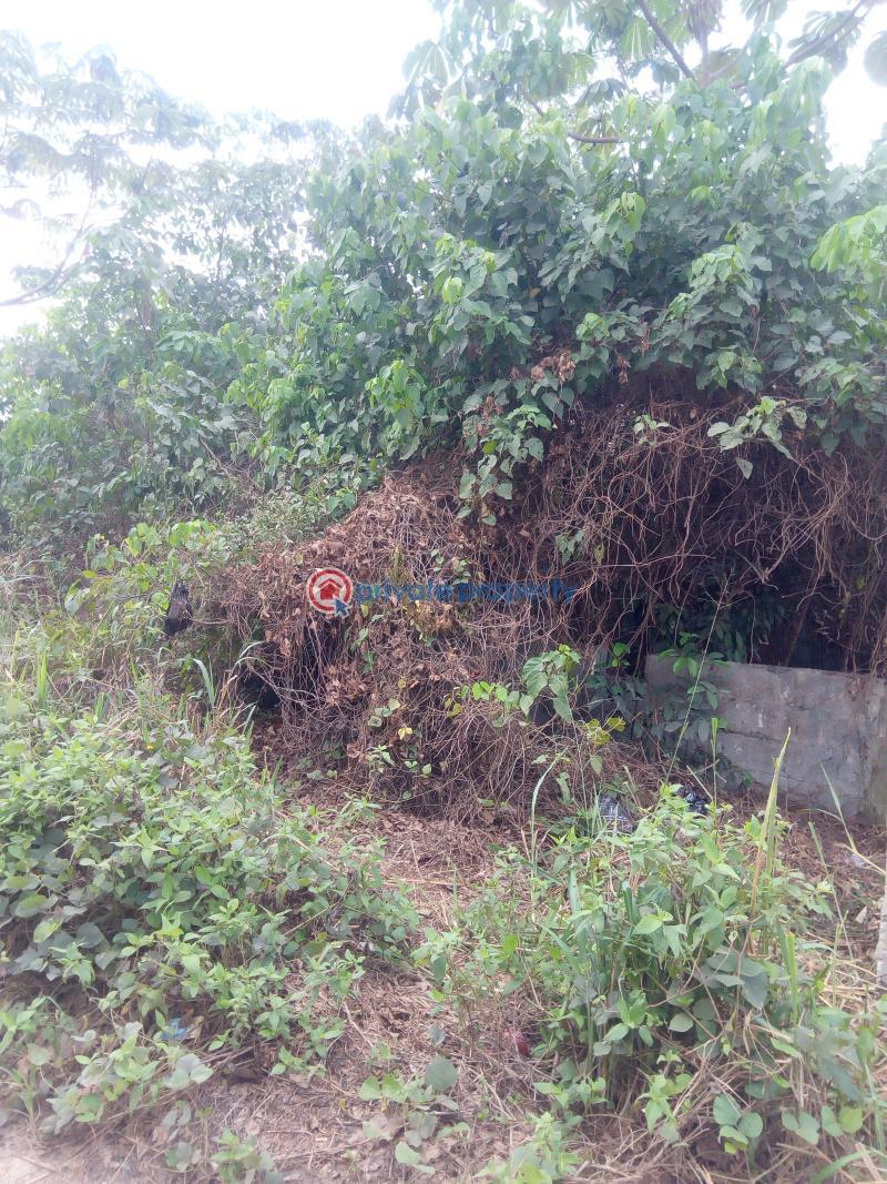 Residential Land For Sale Charlisco Phase2 Warri Delta - 1