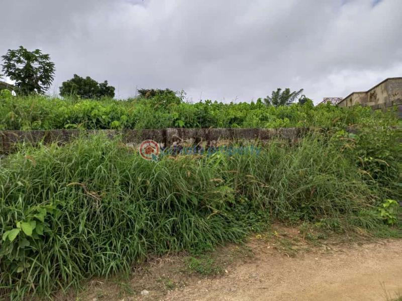 Land For Sale Harmony Estate, Lariken, Ologuneru Ibadan Oyo - 3