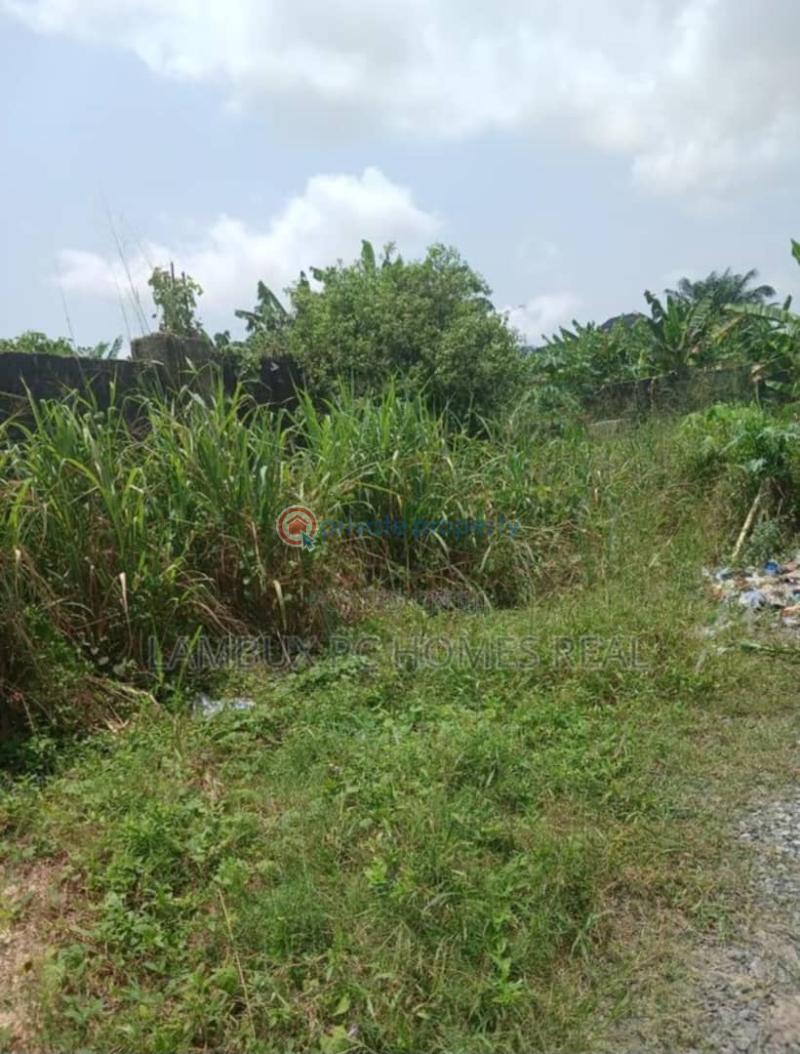 Residential Land For Sale Awoyaya Ajah Lagos - 5