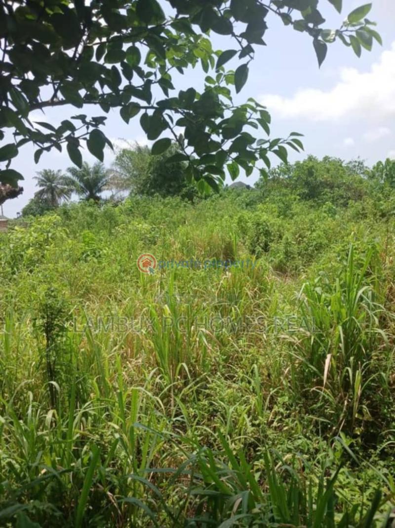 Residential Land For Sale Awoyaya Ajah Lagos - 3