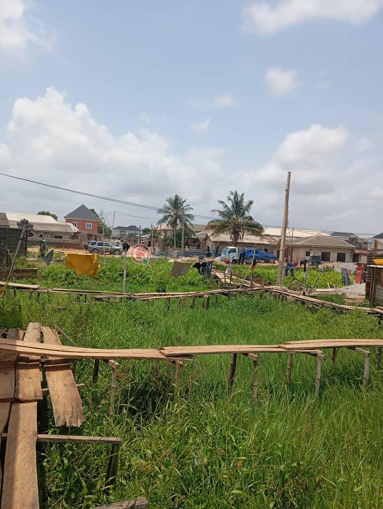 A plot of land semi dry at ijagmo off ijegun festac road - 3 Mixed use Land For Sale Ijaagemo Off Ijegun Ijegun Ikotun/Igando Lagos - 3
