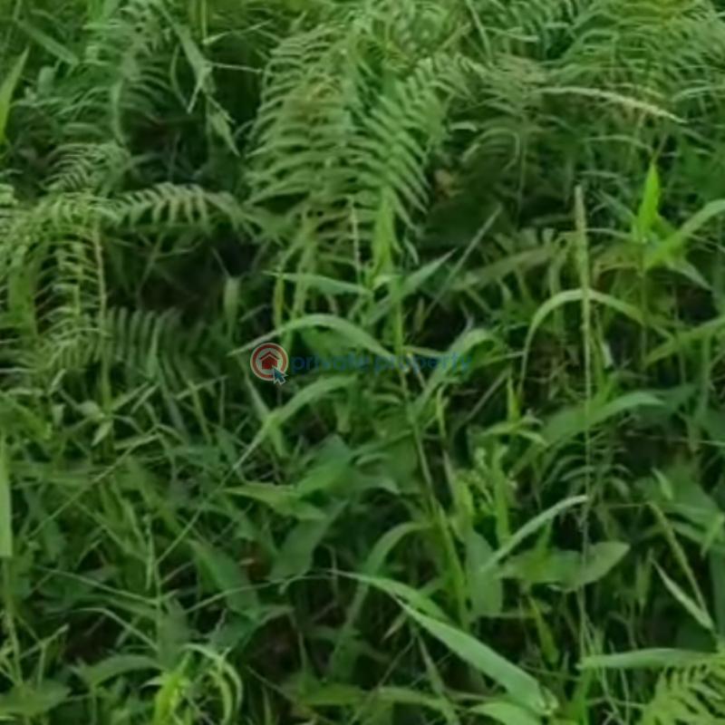 Mixed use Land For Sale Amuwo Odofin Lagos