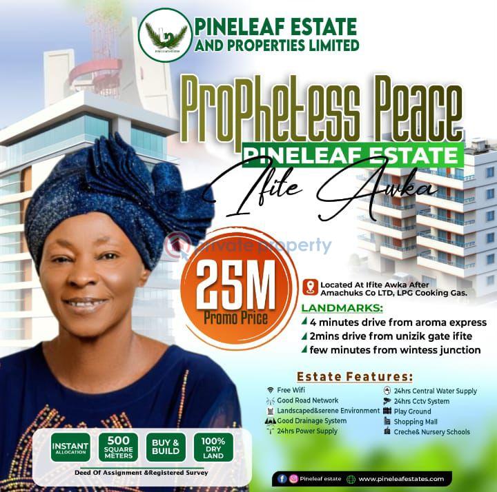 Mixed use Land For Sale Ifite Awka Awka South Anambra - 0