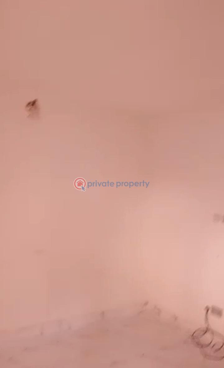 1 bedroom Mini Flat For Rent Asokoro Abuja Phase 1  - 14