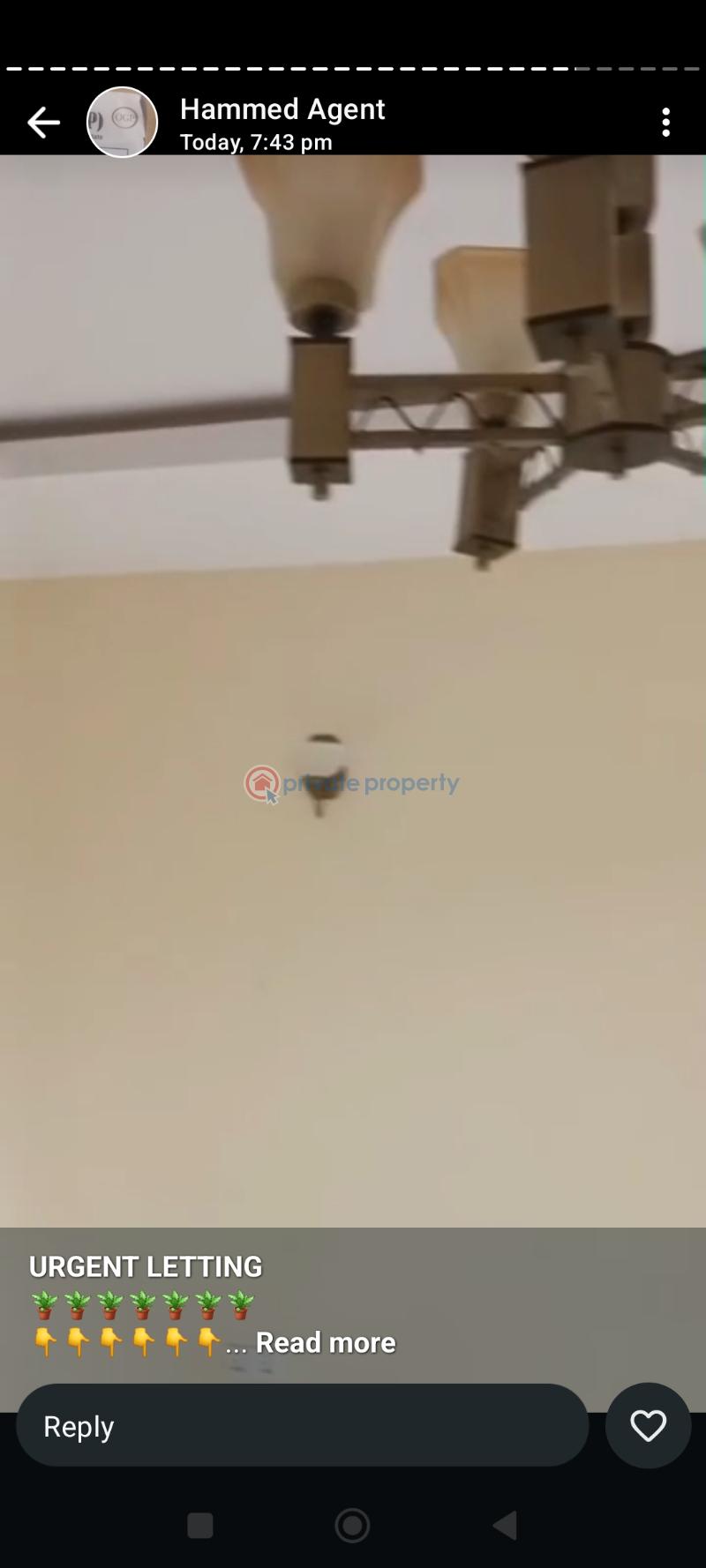 2 bedroom Block Of Flats For Rent Balogun Bus Stop, Iju Ishaga Iju-Ishaga Agege Lagos - 3