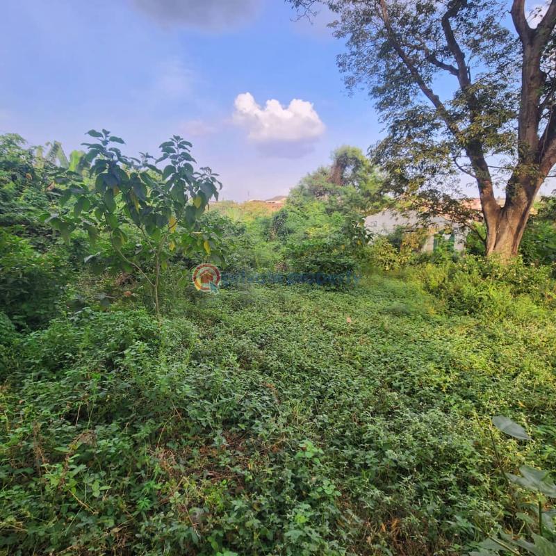 Residential Land For Sale Felele, Ibadan. Ibadan Oyo - 5
