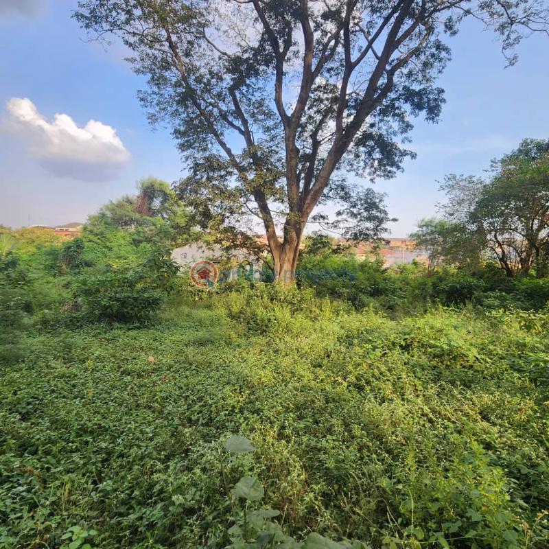 Residential Land For Sale Felele, Ibadan. Ibadan Oyo - 3