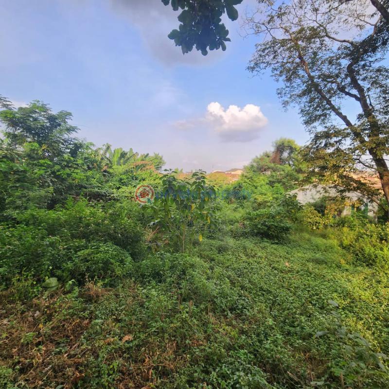 Residential Land For Sale Felele, Ibadan. Ibadan Oyo - 4