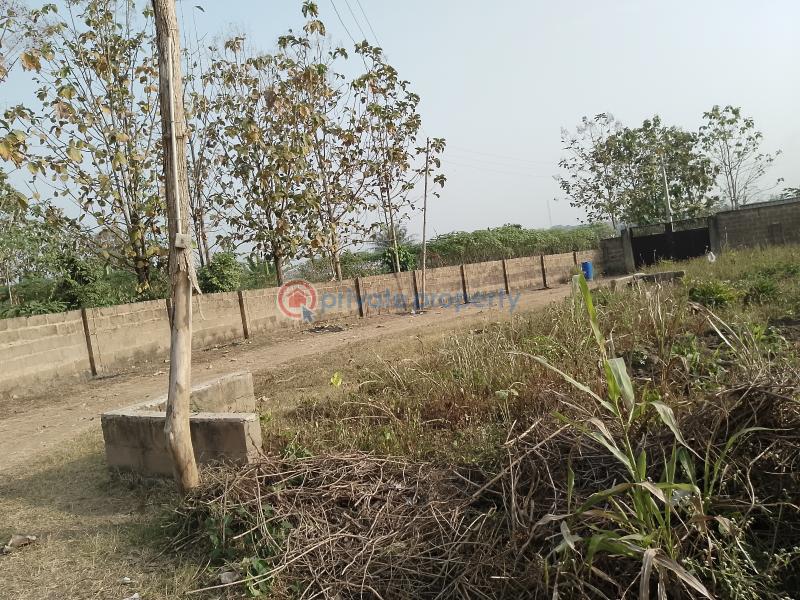 Residential Land For Sale Palm Estate Along Liberty Academy Road Off Akala Express Akala Express Ibadan Oyo - 10