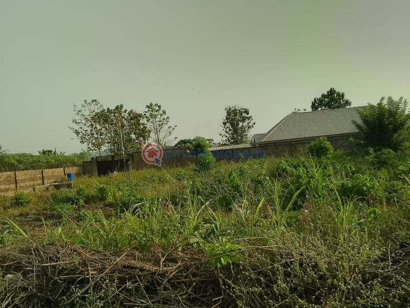 Residential Land For Sale Palm Estate Along Liberty Academy Road Off Akala Express Akala Express Ibadan Oyo - 9