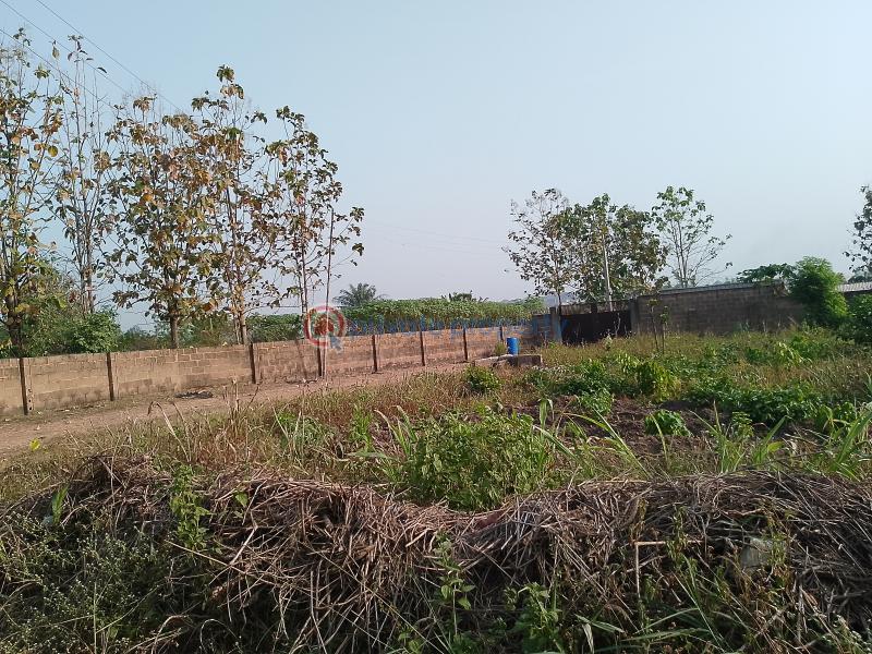 Residential Land For Sale Palm Estate Along Liberty Academy Road Off Akala Express Akala Express Ibadan Oyo - 6