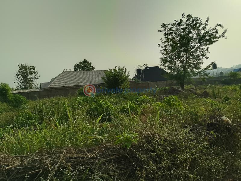 Residential Land For Sale Palm Estate Along Liberty Academy Road Off Akala Express Akala Express Ibadan Oyo - 4