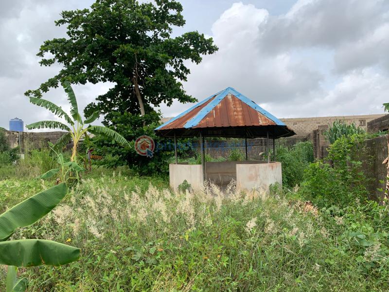 Commercial Land For Sale Araromi Ilogbo, Ota, Ogun State Ado Odo/Ota Ogun - 9