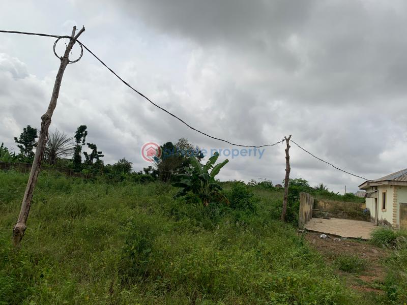 Commercial Land For Sale Araromi Ilogbo, Ota, Ogun State Ado Odo/Ota Ogun - 12