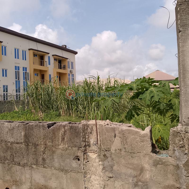 Residential Land For Sale Adewale In Common Wealth Estate Ado Ajah Lagos - 2