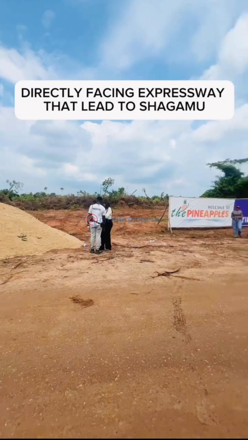 Mixed use Land For Sale Imota Ikorodu Ikorodu Lagos - 5