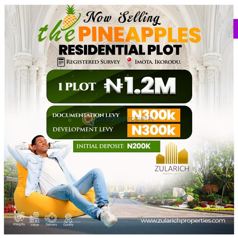 Mixed use Land For Sale Imota Ikorodu Ikorodu Lagos - 2