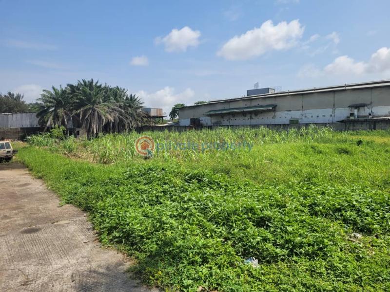 A warehouse on a land measuring 8700 sqm in a strategic industrial neighbourhood - 3 Warehouse For Rent Surulere Lagos - 3