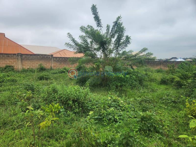 Residential Land For Sale Alawo Ojoekun Odo ona Ibadan Oyo - 0