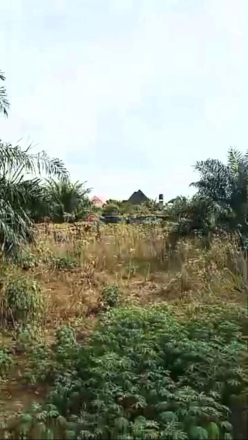 Mixed use Land For Sale Winners Road, Directly Opposite Abraka Main Market & Garage, Off Agbor Sapele Road – Main Route To Delta State University (delsu). Sapale Delta - 0