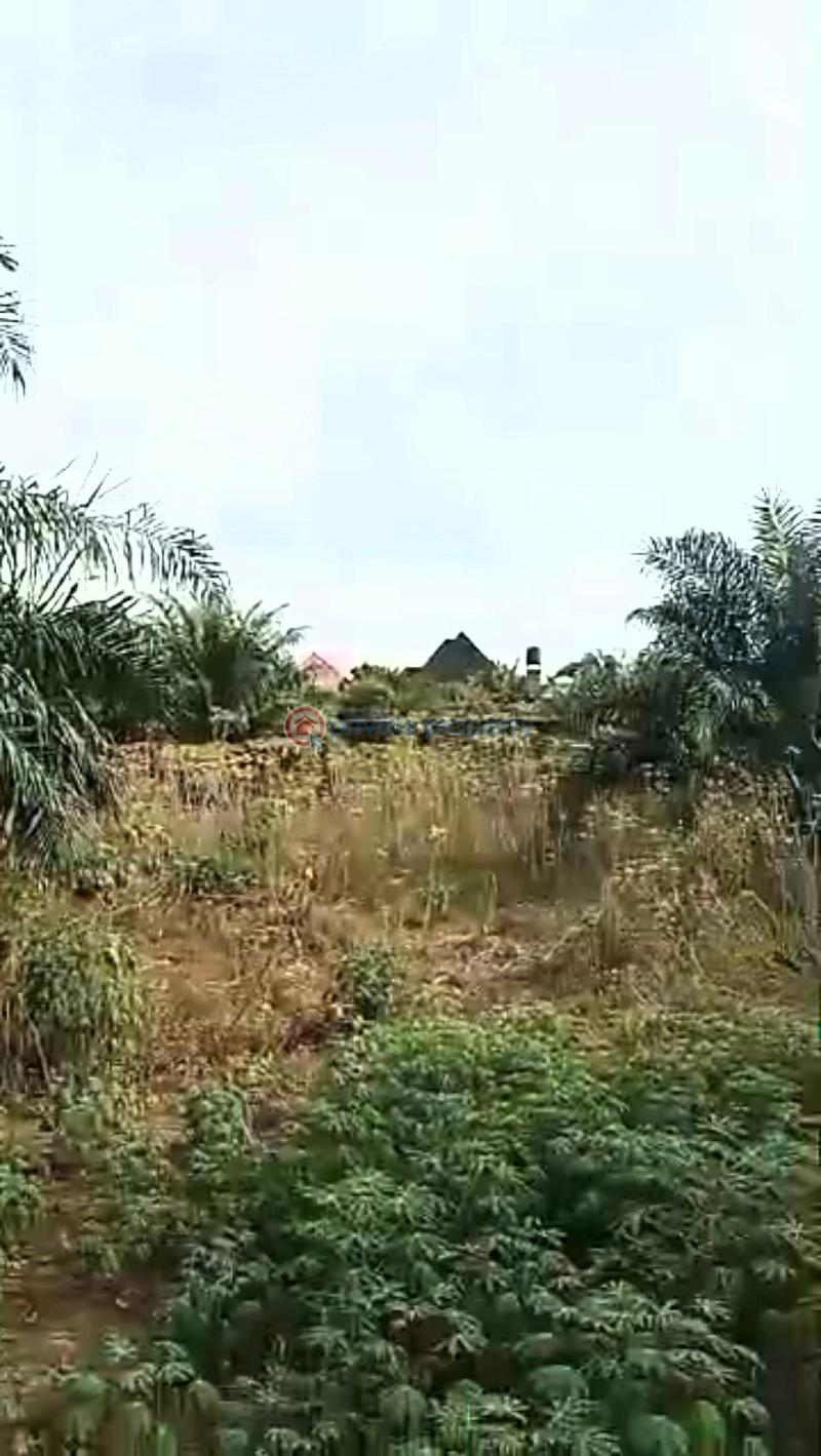 Mixed use Land For Sale Winners Road, Directly Opposite Abraka Main Market & Garage, Off Agbor Sapele Road – Main Route To Delta State University (delsu). Sapale Delta - 1